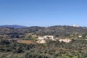 Tsivaras Grundstück mit Meerblick im Dorf Tsivaras Grundstück kaufen